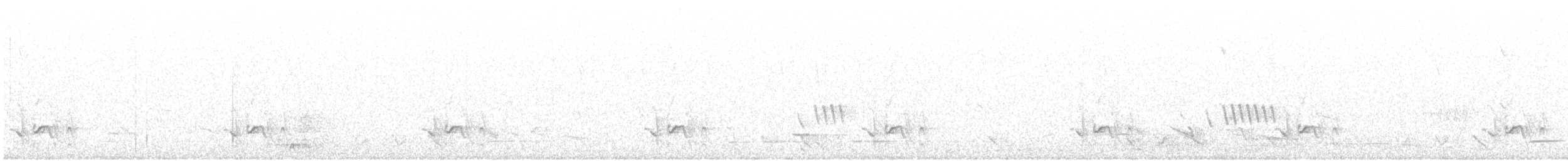 Тасманийскый радужник - ML128990731