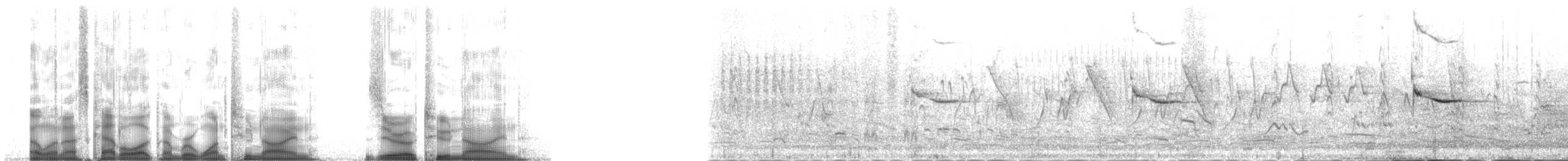 vlhovec červenokřídlý [skupina phoeniceus] - ML129029