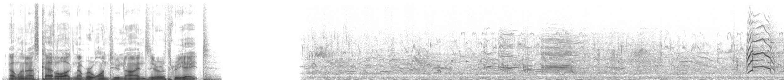 Franklin's Gull - ML129038
