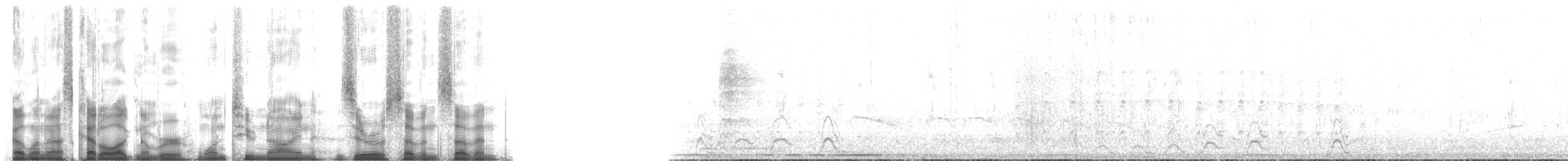 Yungas Guan - ML129077