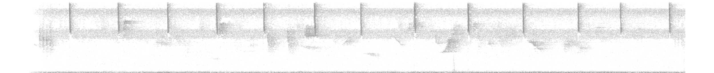 White-necked Jacobin - ML129197221
