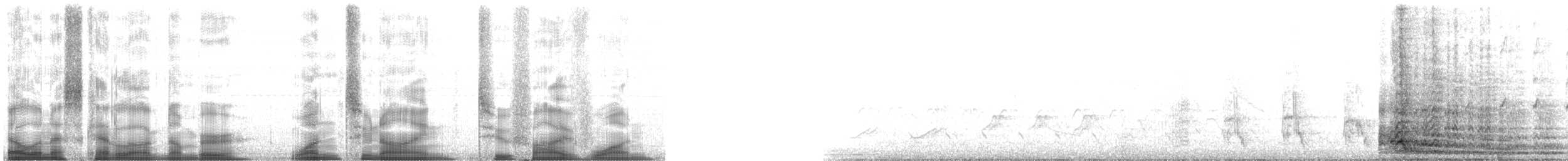 シチメンチョウ - ML129251