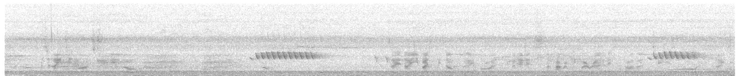 Streifenpanthervogel - ML129352581