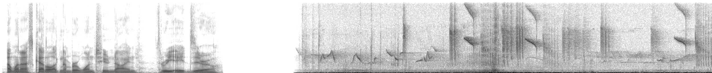 Goldschwanzsylphe - ML129380