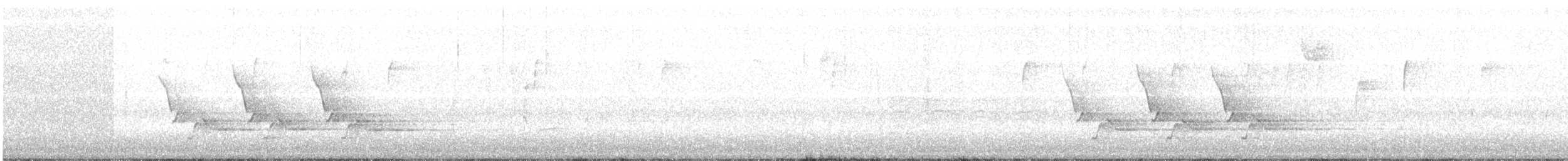 Поплітник каролінський - ML129399591
