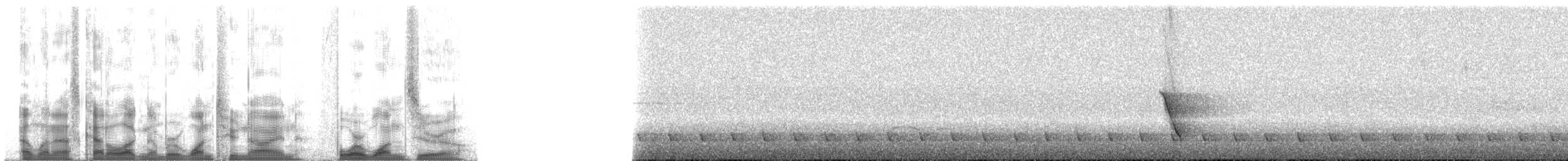 Bornean Whistler - ML129410