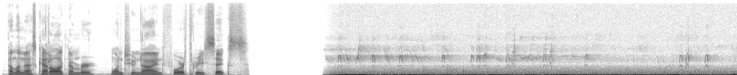 Pito Dorsinaranja - ML129436