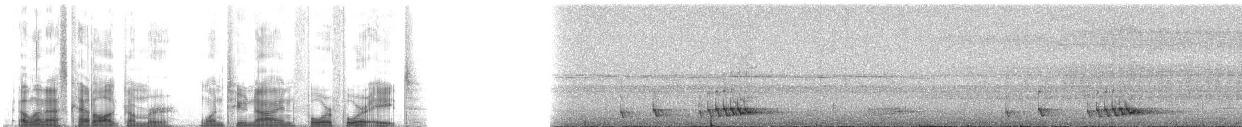 Barbu élégant - ML129448