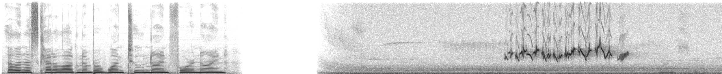 Чечевиця кармінова (підвид purpureus) - ML12949