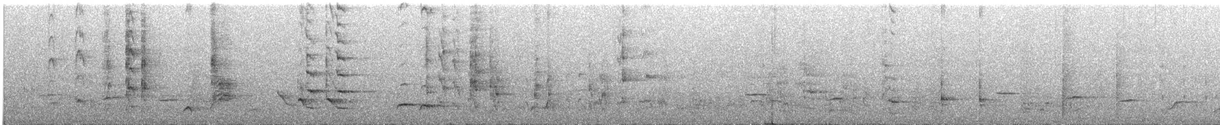 White-streaked Honeyeater - ML129505421