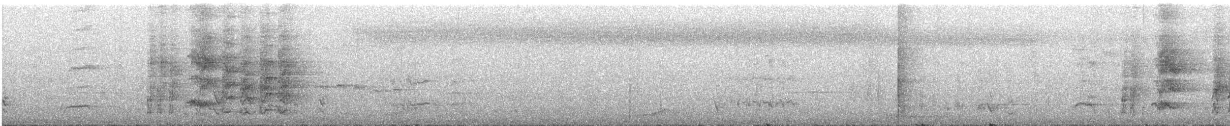 White-streaked Honeyeater - ML129505431