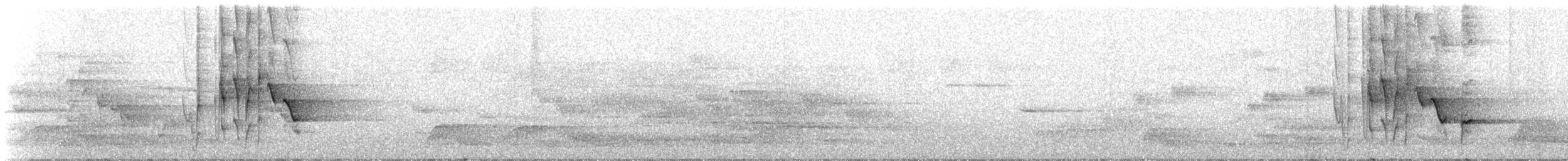 Méliphage de Hindwood - ML129506051