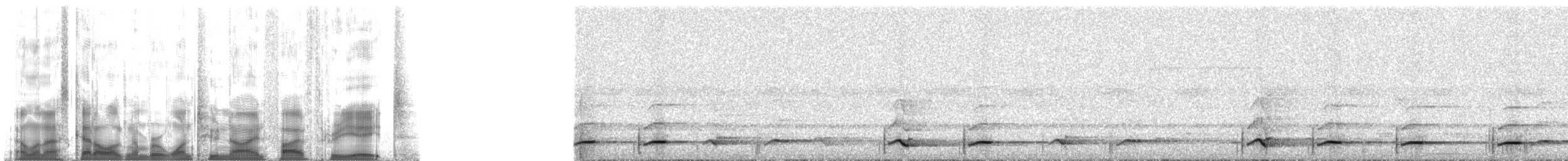 Toucan à bec rouge (cuvieri/inca) - ML129538