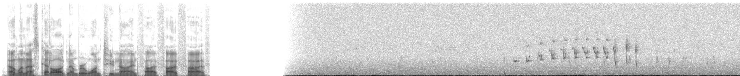Weißbrust-Dickichtschlüpfer - ML129555