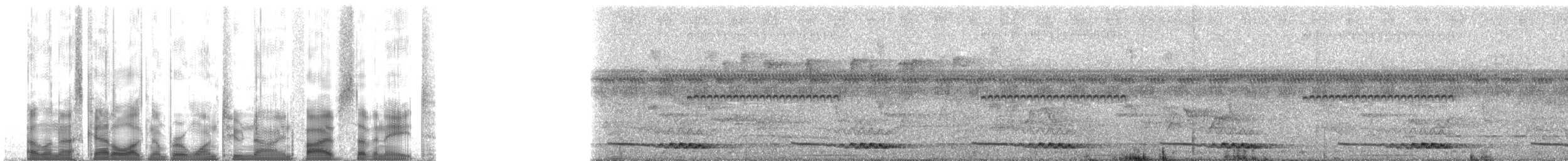 Sabah Partridge - ML129578