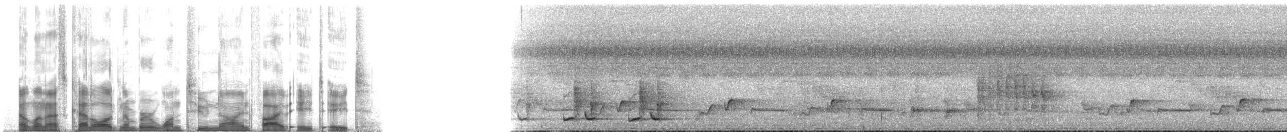 Fleckenmeisentimalie - ML129588