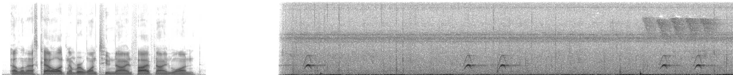 Western Hooded Pitta (Sunda) - ML129591