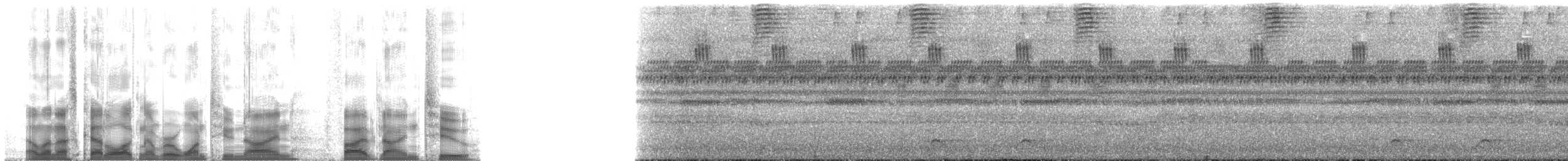 Western Hooded Pitta (Sunda) - ML129592