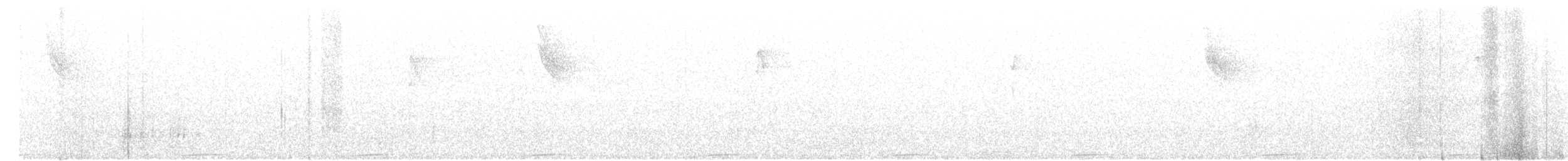 holoubek hnědoprsý - ML129636331