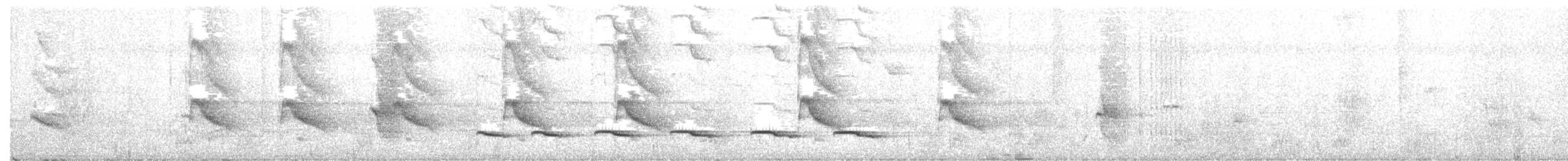 Weißschulter-Ameisenvogel - ML129727221