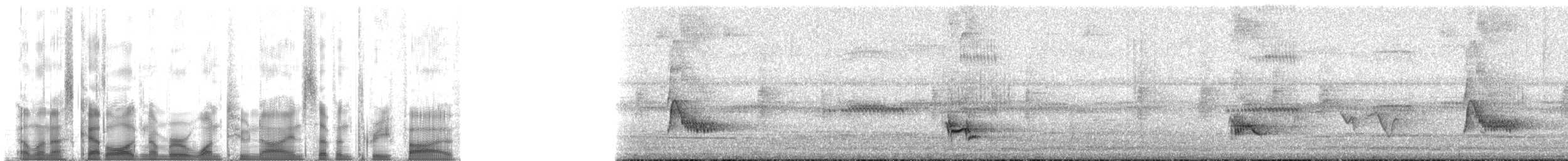 Rotfußdrossel (ardosiaceus/albiventris) - ML129735