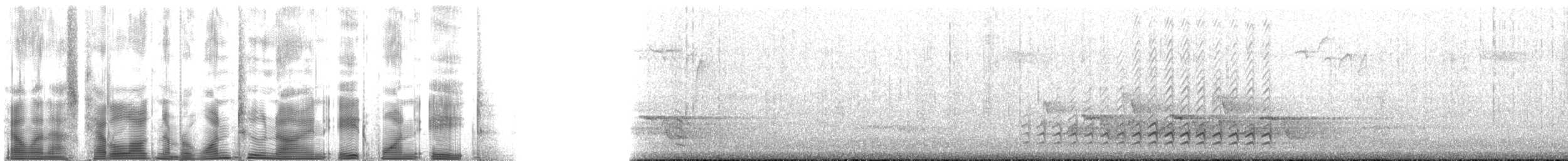 Sittelle à poitrine blanche (carolinensis) - ML129818