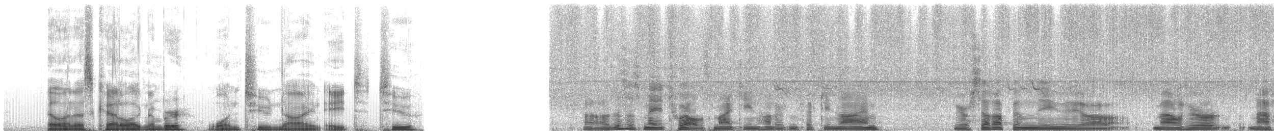 Fichtenkreuzschnabel - ML12982