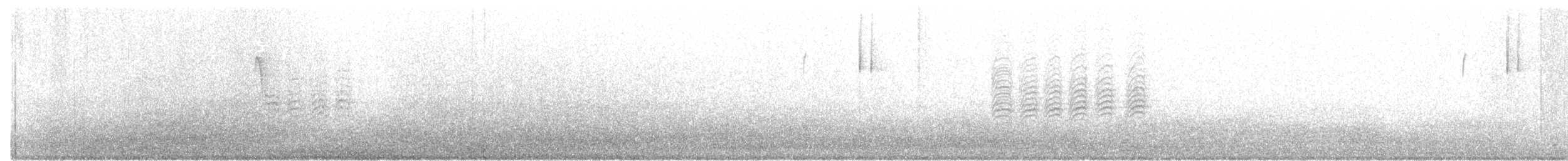 雑種 カロライナコガラ ｘ アメリカコガラ - ML129899211
