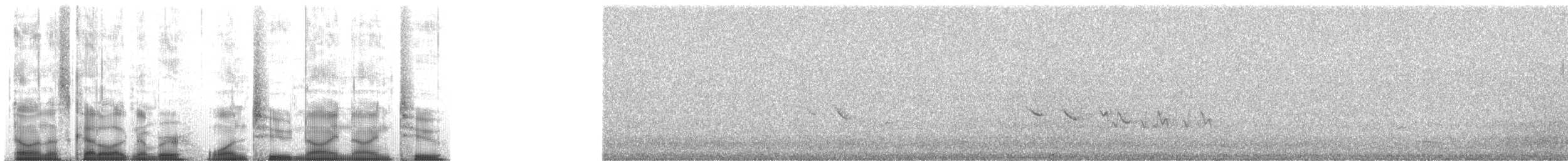 Pine Grosbeak - ML12992