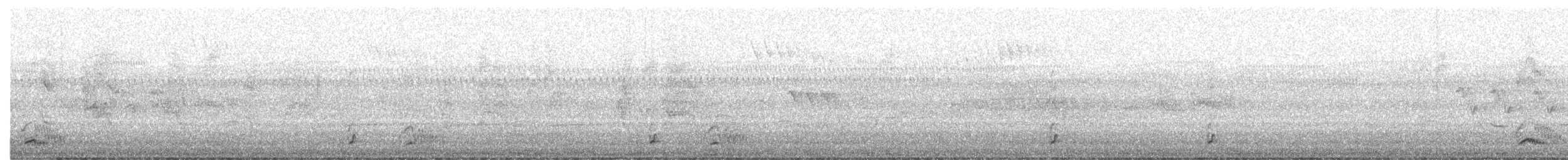 Spotless Crake - ML130030801