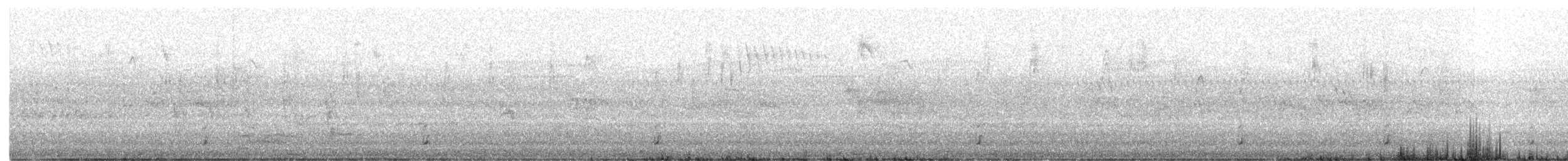 Spotless Crake - ML130030851