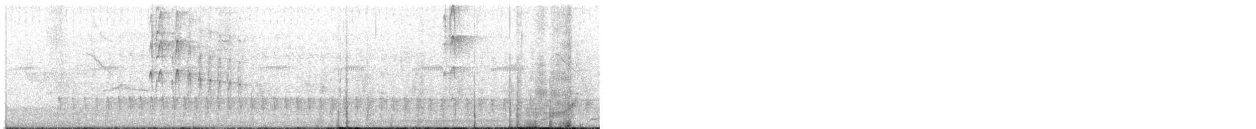 Dreibinden-Ameisenvogel - ML130072331
