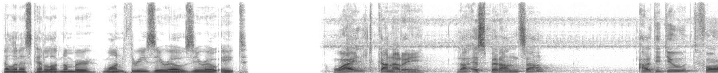 Island Canary - ML13008