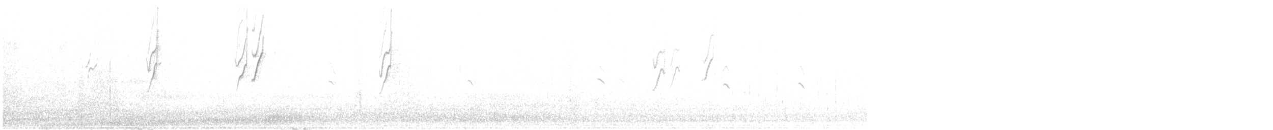 Белокрылая диука - ML130091721