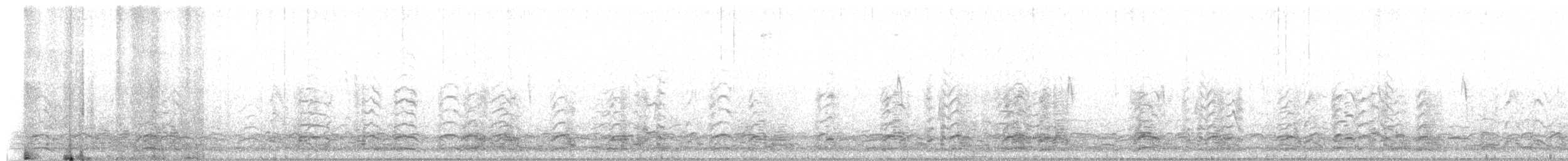 Snow Goose - ML130095011