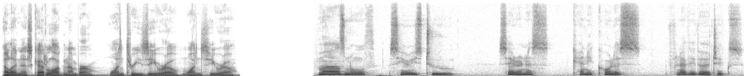 Gelbstirngirlitz - ML13010