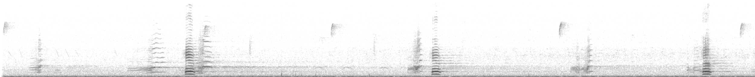 Cisne Trompetero - ML130100081