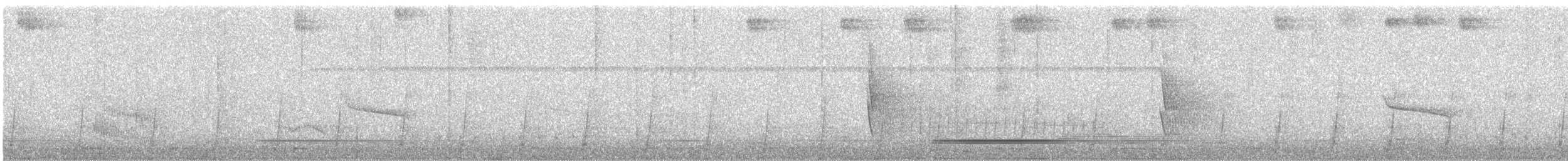 Weißgesicht-Ameisenvogel - ML130110021