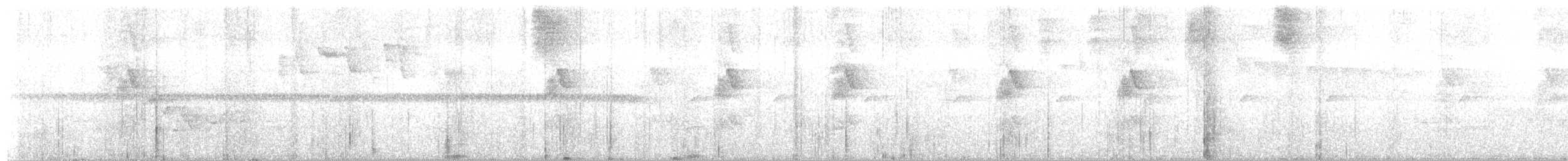 シラヒゲユミハチドリ - ML130120421