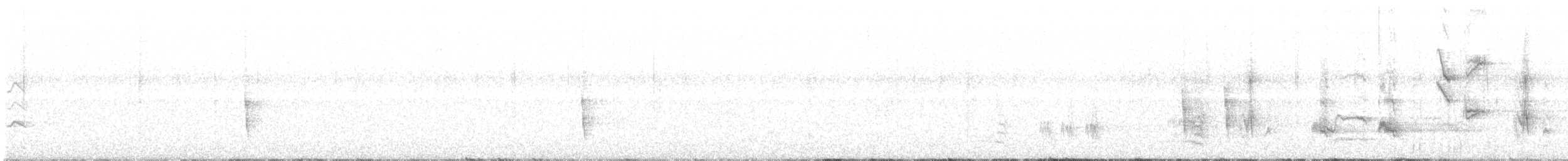 オオムジツグミモドキ - ML130214391