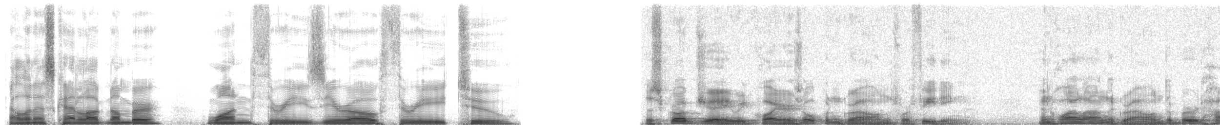 Florida Scrub-Jay - ML13032