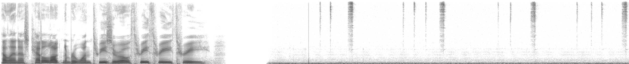 guinea-cypress katydid - ML130333