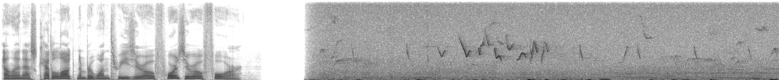 Ecuadorian Seedeater - ML130404