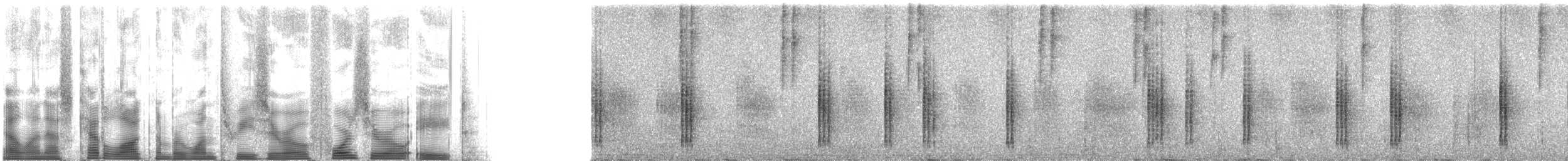 Azara's Spinetail - ML130408