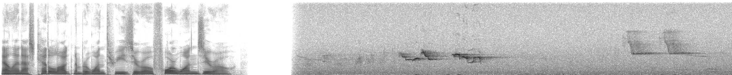 Merle de Reeve - ML130410