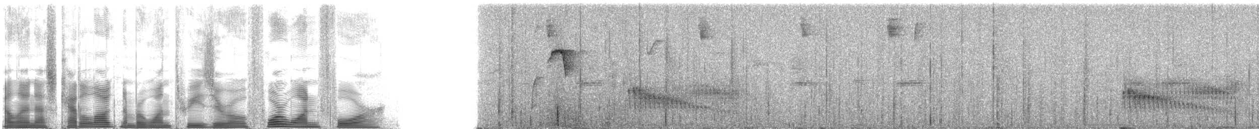 Graukopf-Ameisenvogel - ML130414