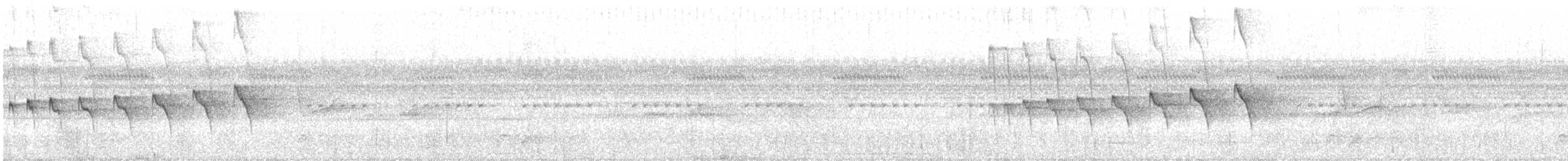Kara Gerdanlı Karıncakuşu - ML130417501