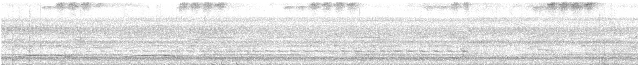 Grimpar nasican - ML130418821