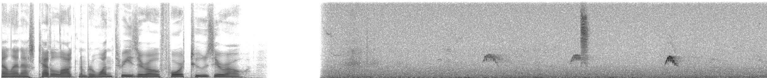 Колібрі-довгохвіст смарагдовий - ML130420