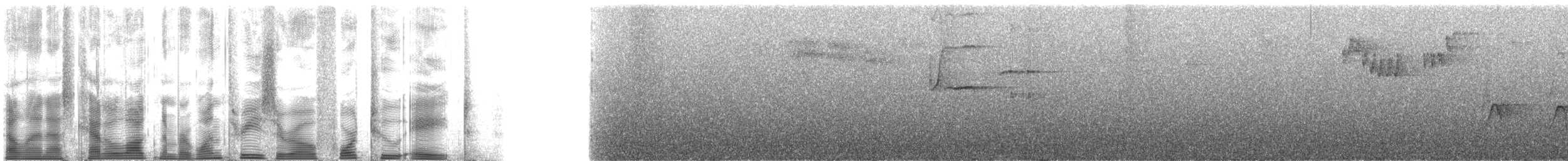 Ak Gözlü Karatavuk - ML130428